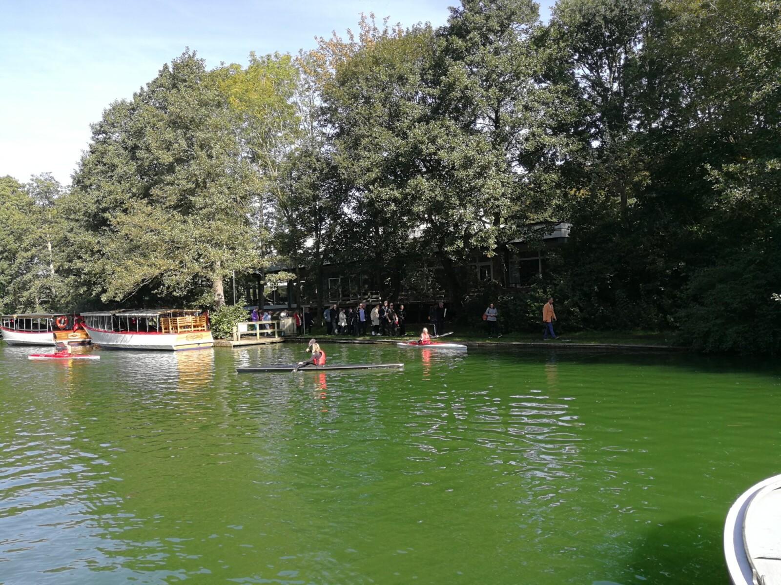 IMG 20190922 120653